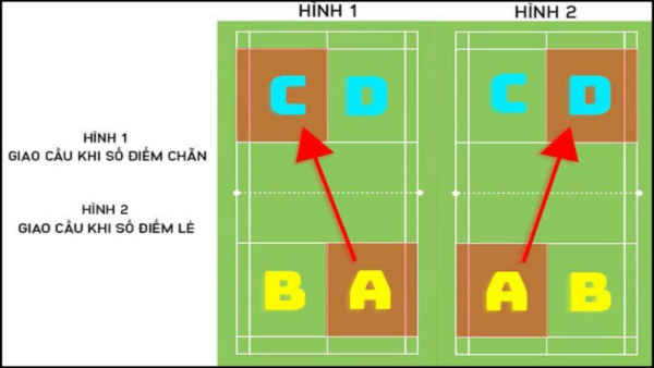 Vị trí phát cầu