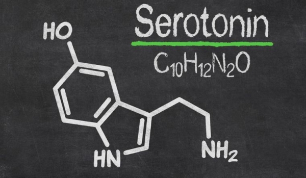 Serotonin là gì?