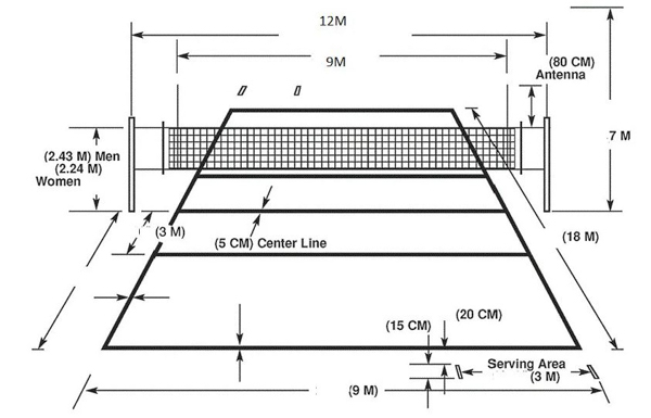 Sự khác biệt về chiều cao lưới giữa nam và nữ trong bóng chuyền hơi