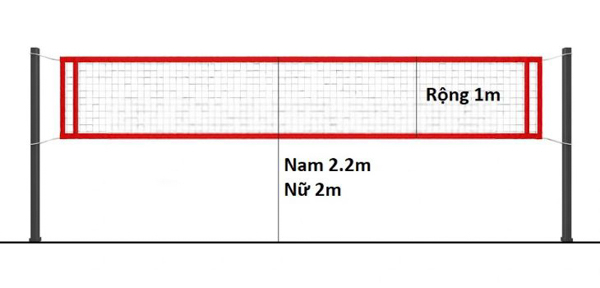Chiều cao lưới bóng chuyền hơi đúng chuẩn quy định