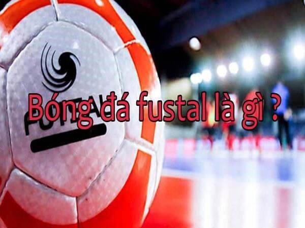 Futsal là gì? Tất tần tật về môn bóng đá Futsal