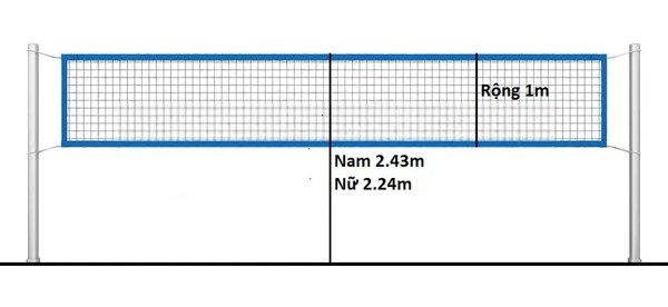 Lưới bóng chuyền cao bao nhiêu?