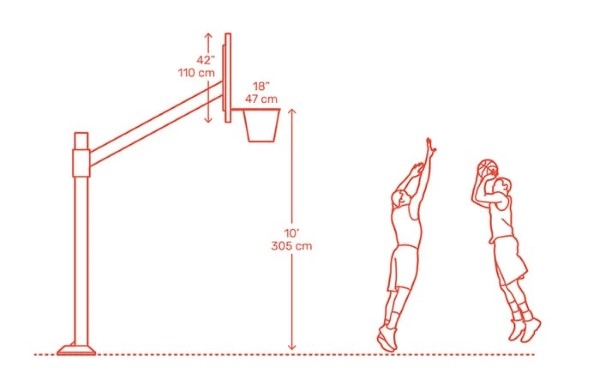 Chiều cao rổ bóng rổ tiêu chuẩn thi đấu