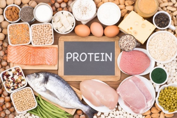 Protein đóng vai trò quan trọng trong việc xây dựng cơ bắp