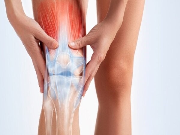 Chấn thương gân cơ đuồi trước (Quadriceps Tendon)