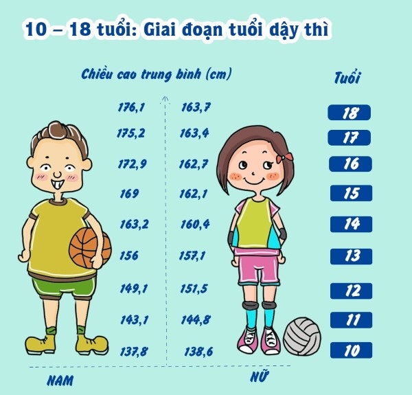 Giai đoạn dậy thì là thời kỳ tăng trưởng chiều cao mạnh mẽ nhất