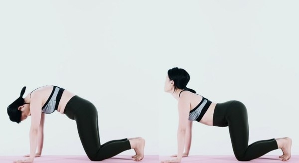 Tư thế Con Mèo - Con Bò (Marjariasana - Bitilasana)