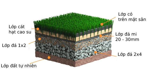 Cấu tạo mặt sân cỏ