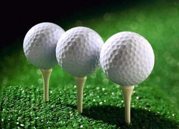 Tee golf phân loại theo chất liệu