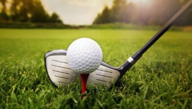 Công dụng của tee golf