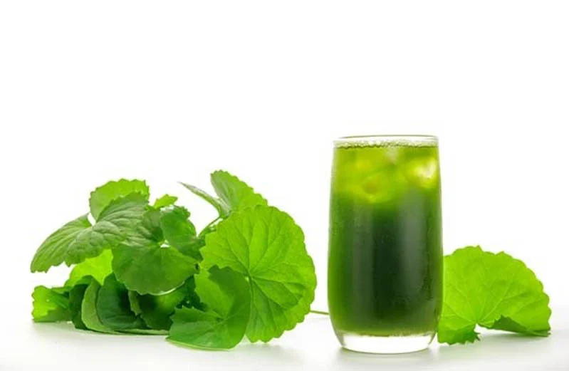 Thành phần dinh dưỡng và lượng calo