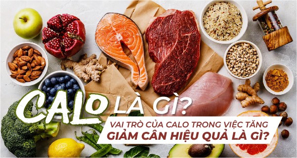 Hiểu rõ hơn về vai trò của Calo và tầm quan trọng của việc theo dõi